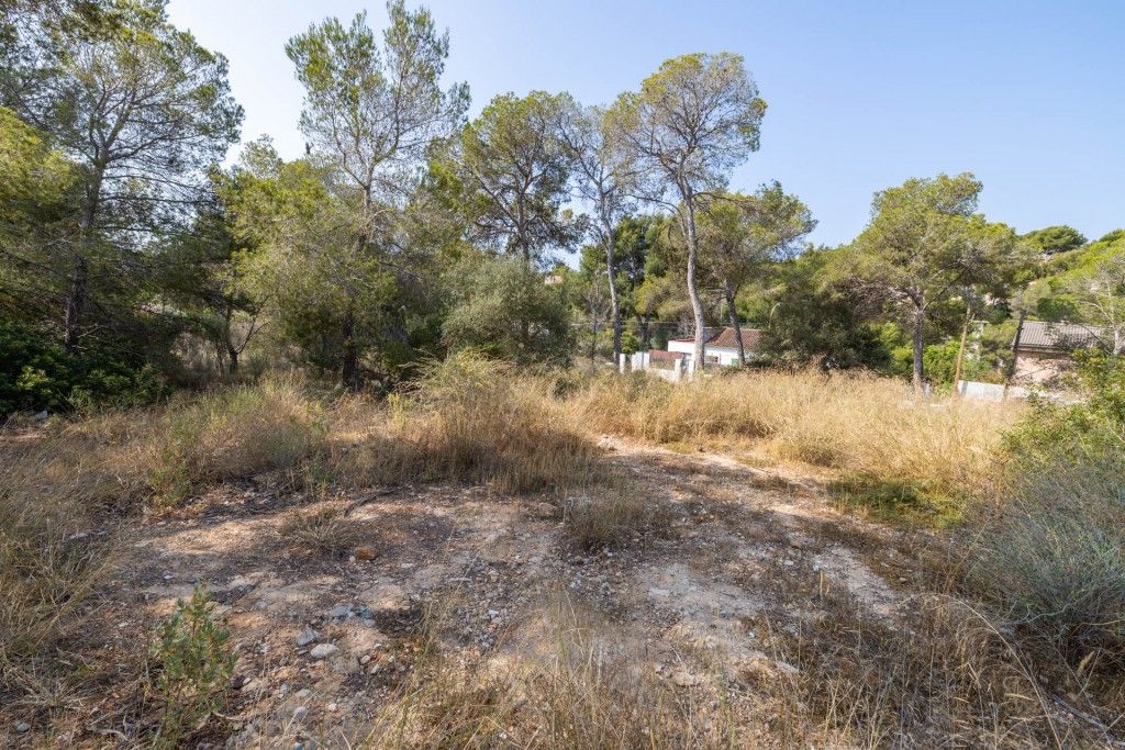 Property photo 2 of 11 Plot (6)