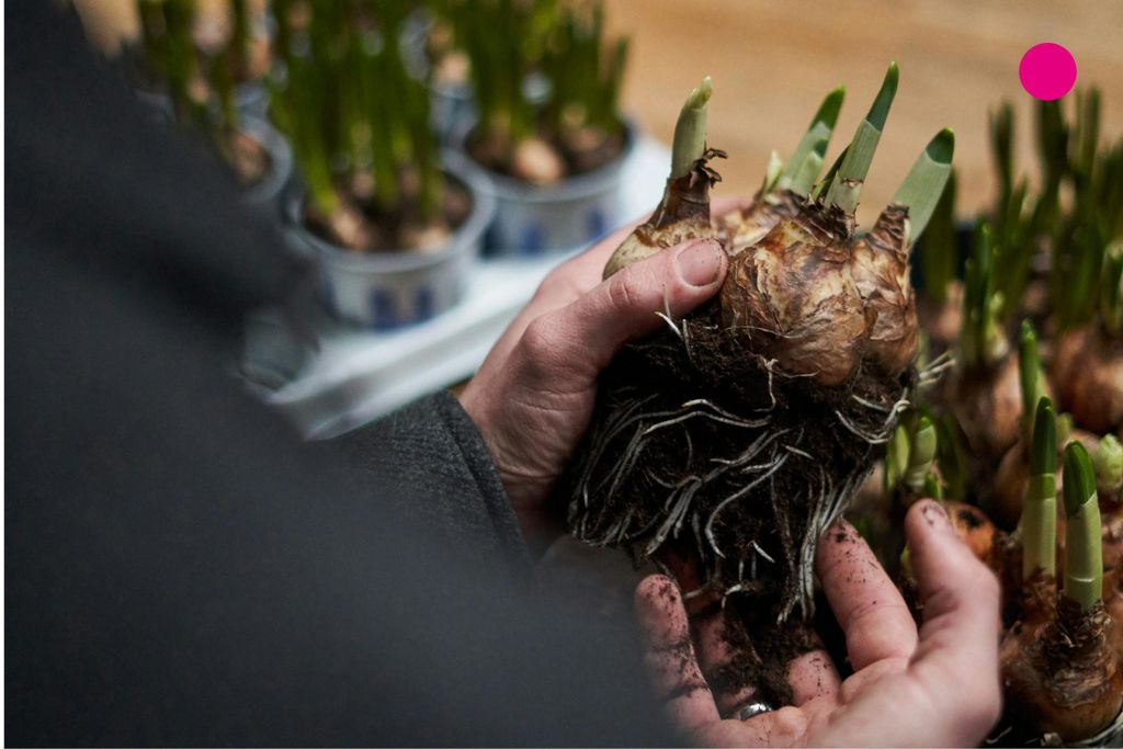 Property photo 3 of 9 4.Png