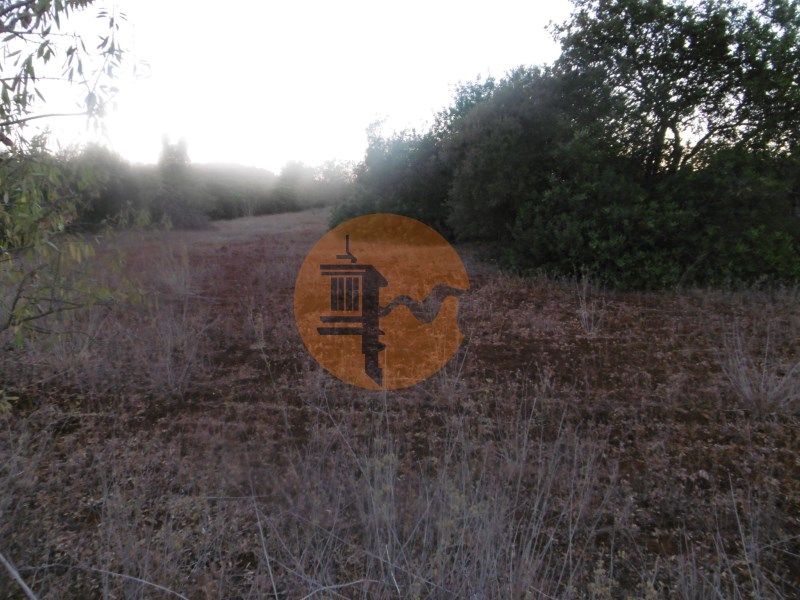 Property photo 1 of 3