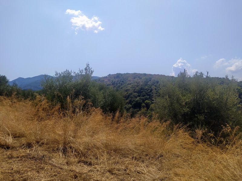 Property photo 2 of 8 Mountain View