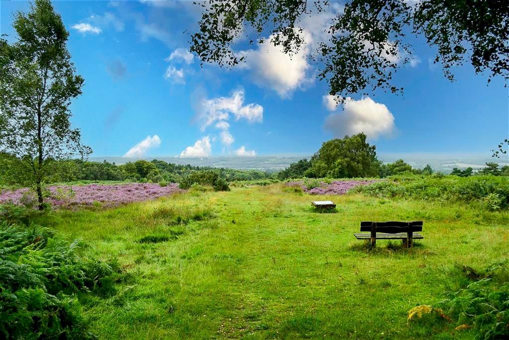 Property photo 3 of 4 Surround Area - Ashdown Forest