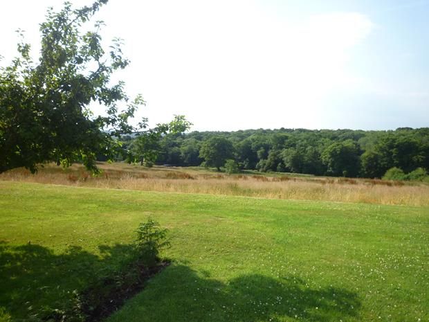 Property photo 2 of 13 P1480371