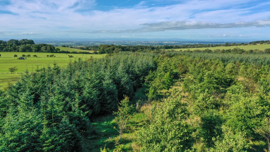 Additional image 6 of Land for saleWestward, Wigton 8Nq, Wigton CA7