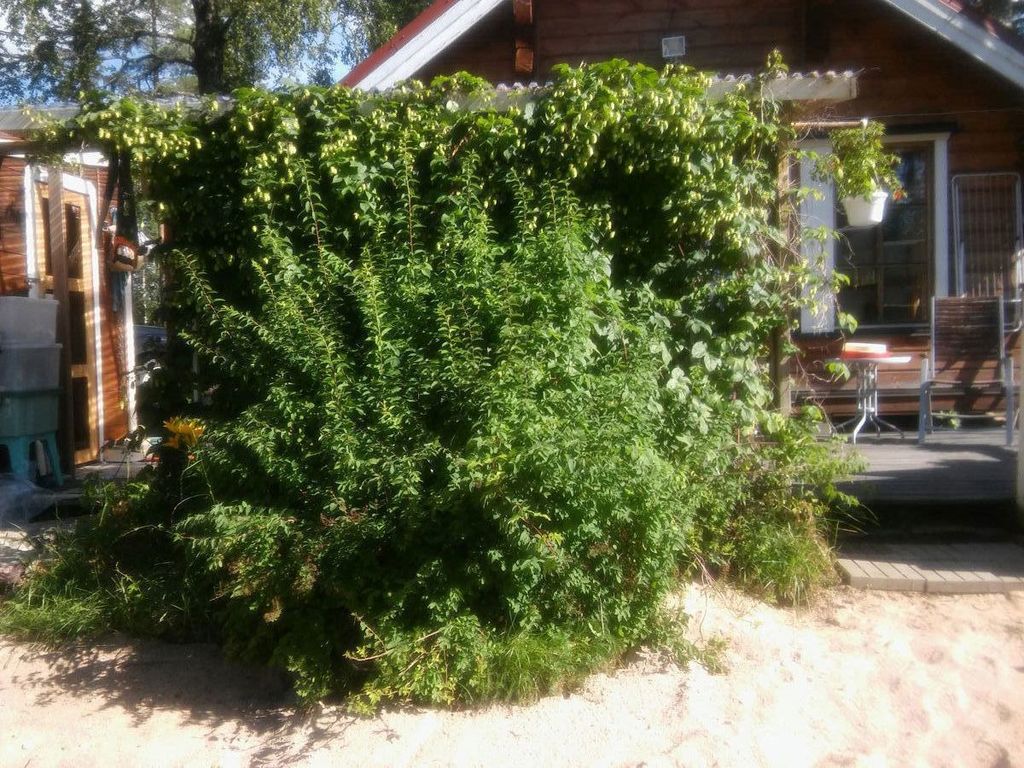 Property photo 2 of 59