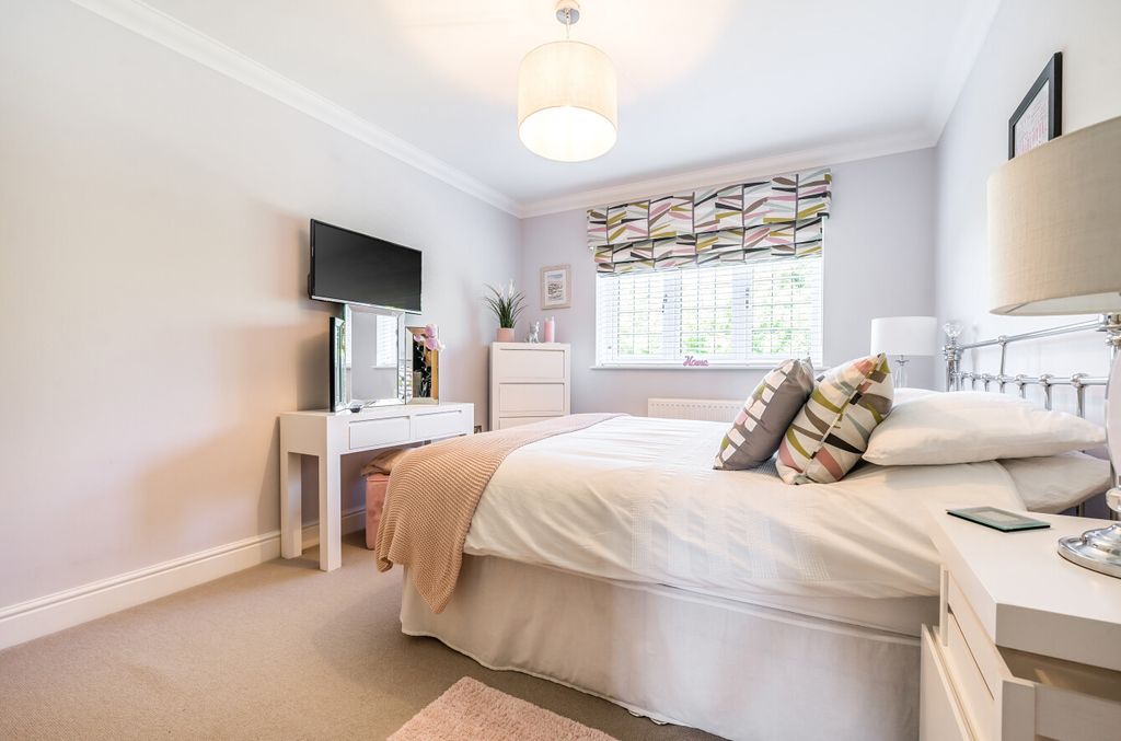 Additional image 17 of Something went wrong