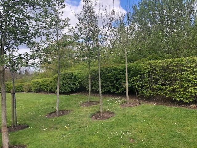 Property photo 3 of 15 Front Exterior.Jpg