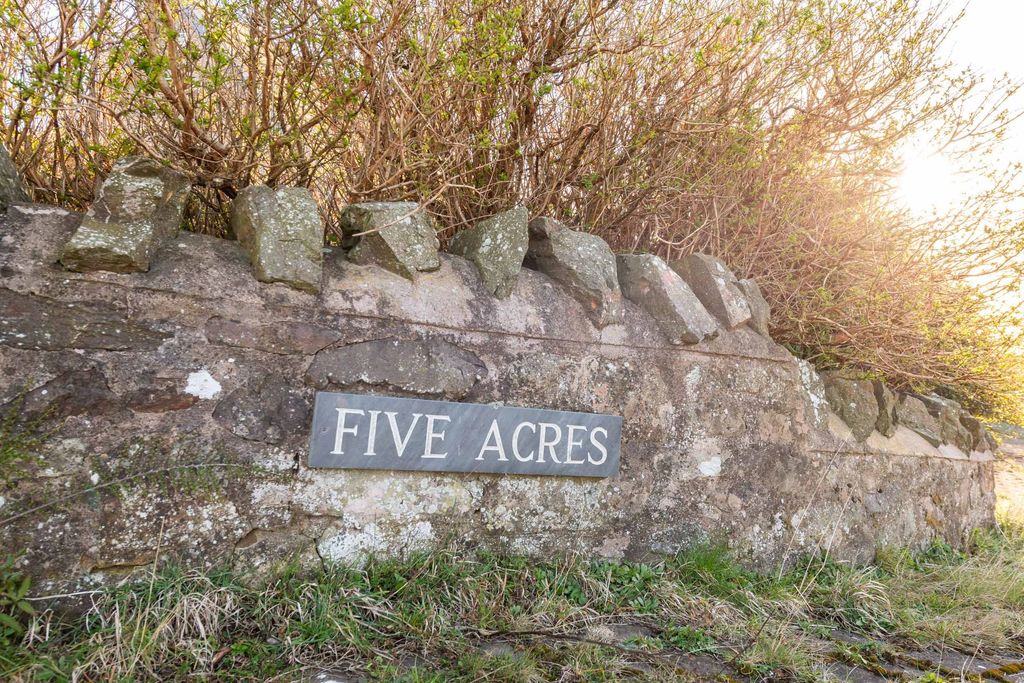 Property photo 3 of 39