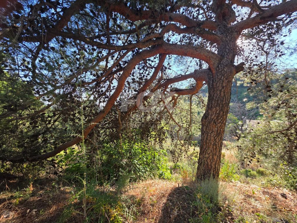 Property photo 2 of 4
