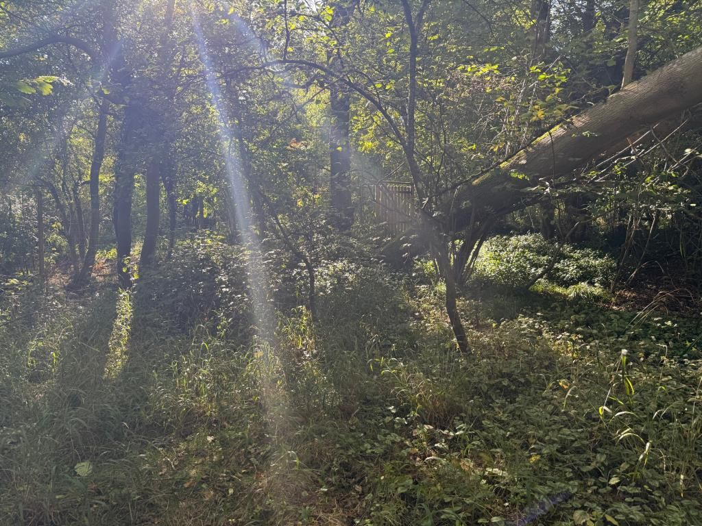 Property photo 3 of 3 Woodland