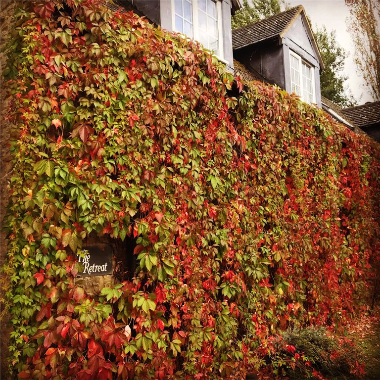 Property photo 2 of 21 Picture No. 26