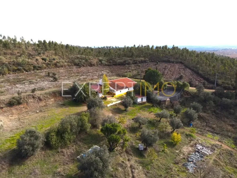 Property photo 1 of 32 Img 0