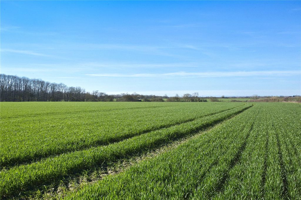 Property photo 3 of 10 Picture No. 12