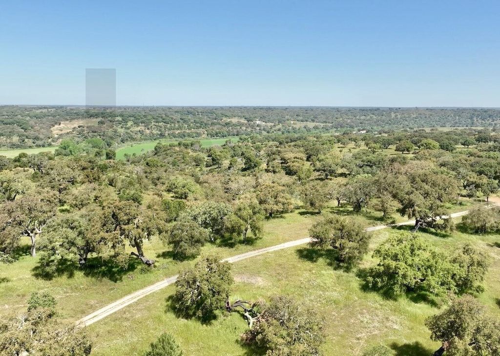 Property photo 1 of 13 Ideal Retreat In Alentejo: Unique Investment With Agricultural And Tourism Potential On 40 Ha