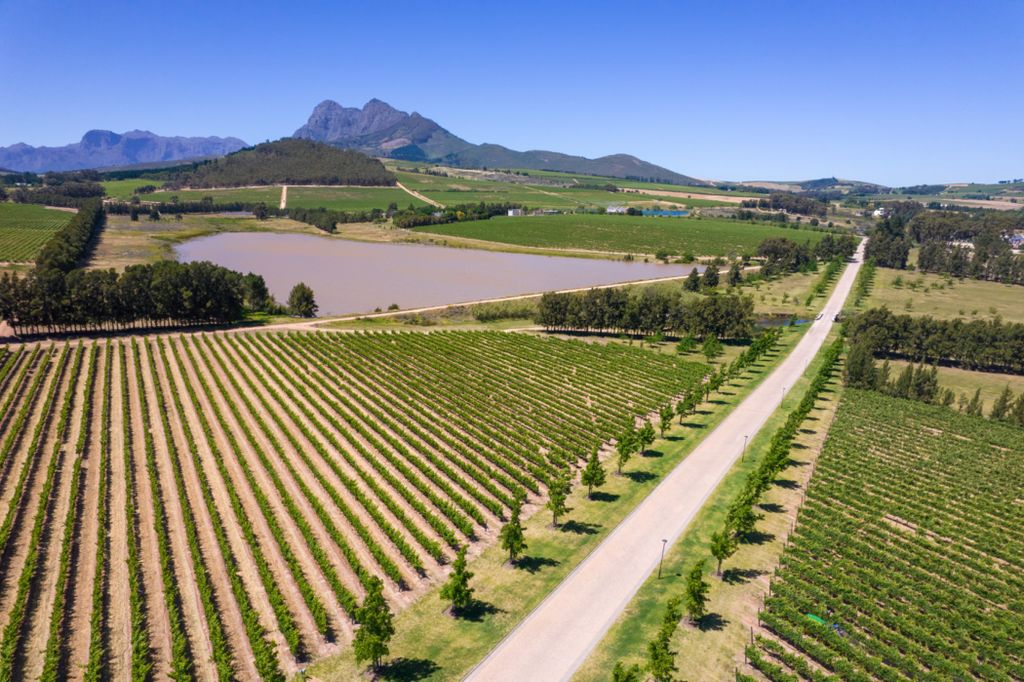 Property photo 3 of 10 St1692800