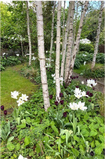 Additional image 14 of 5 bed detached house to rentProvost Road, Belsize Park, London NW3