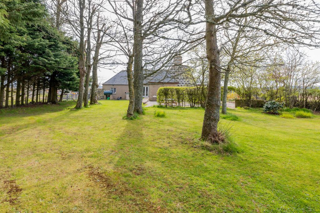 Property photo 3 of 38