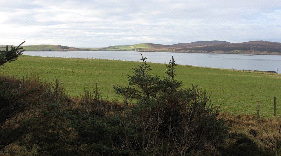 Property photo 1 of 2 Main