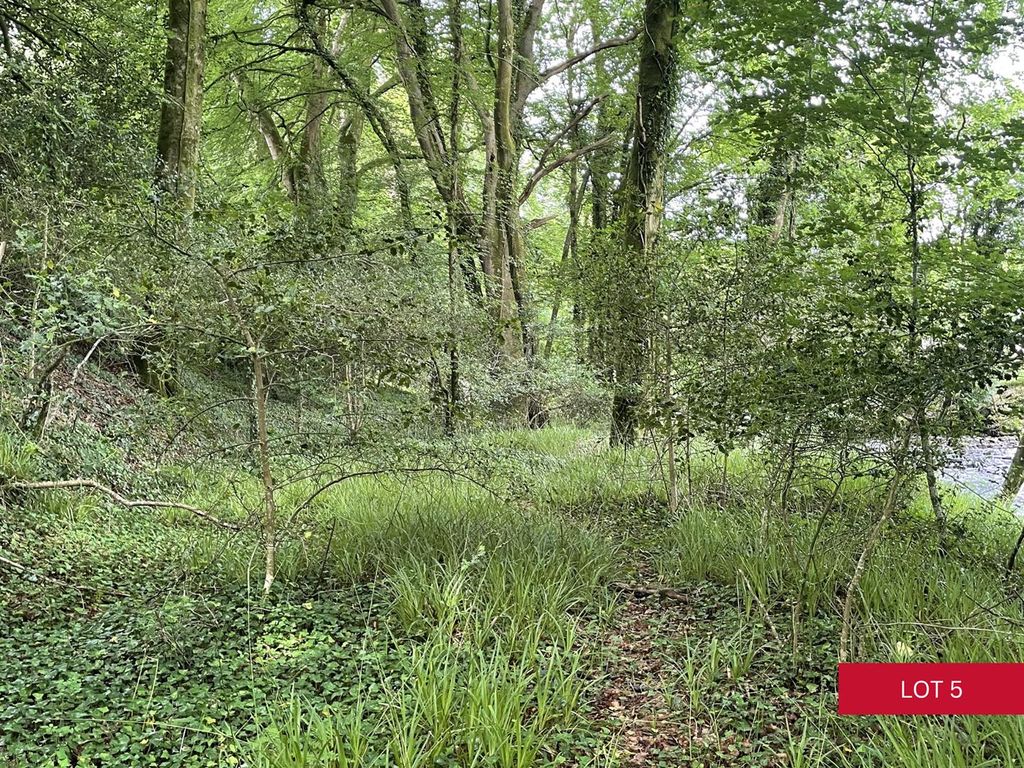 Property photo 3 of 20 Lot 5 (24).Png