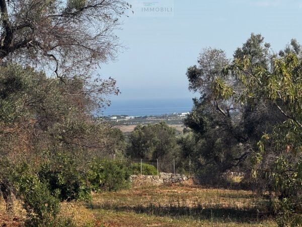 Property photo 1 of 16 Sea View Land For Sale In Carovigno