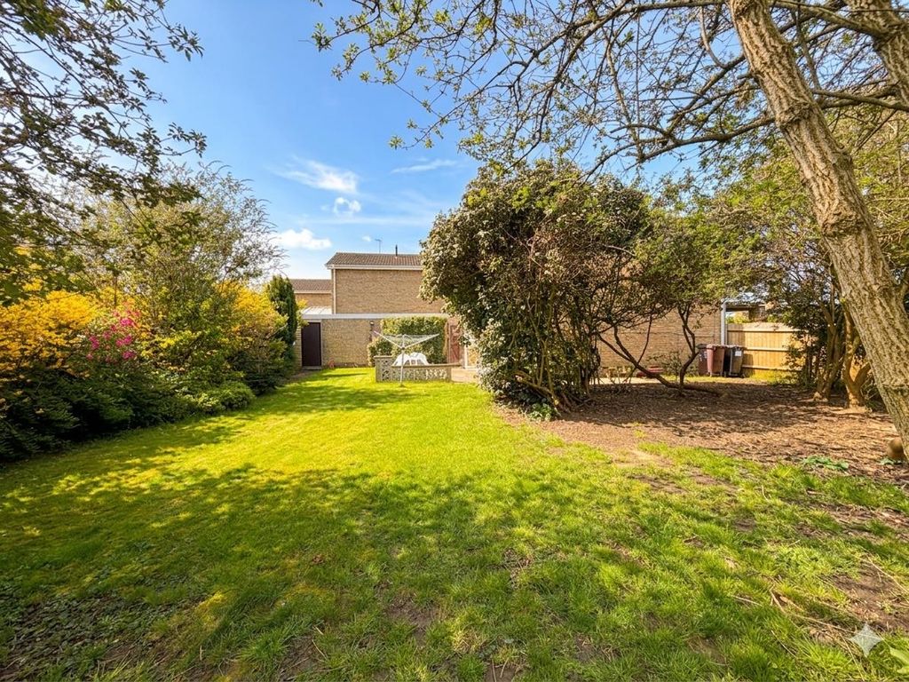 Property photo 3 of 14 Img_3974.Png