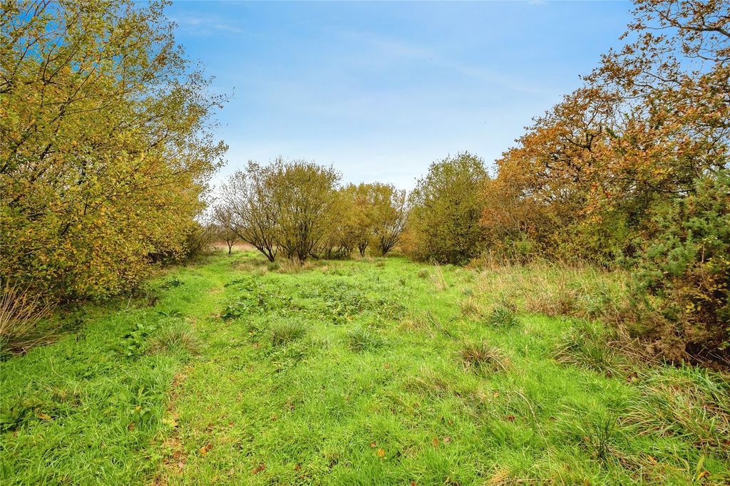 Property photo 3 of 47 Picture No. 29