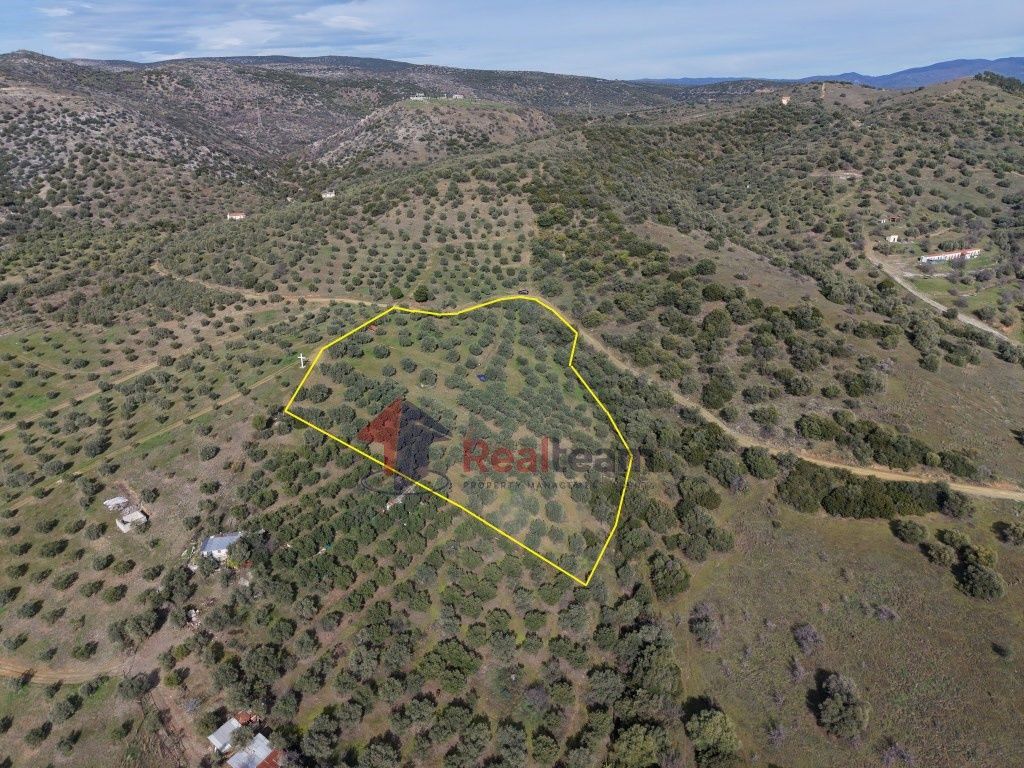 Property photo 2 of 28