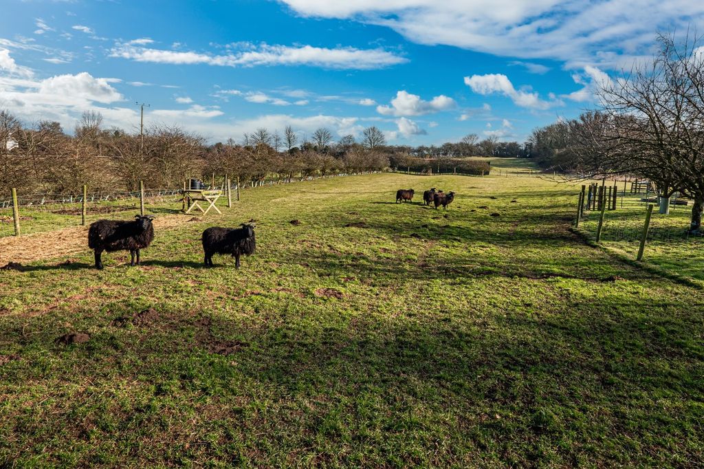 Property photo 3 of 38 Paddock