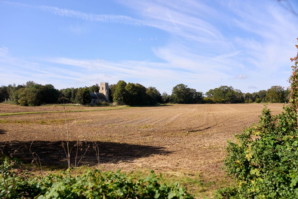 Property photo 3 of 11 Local Area