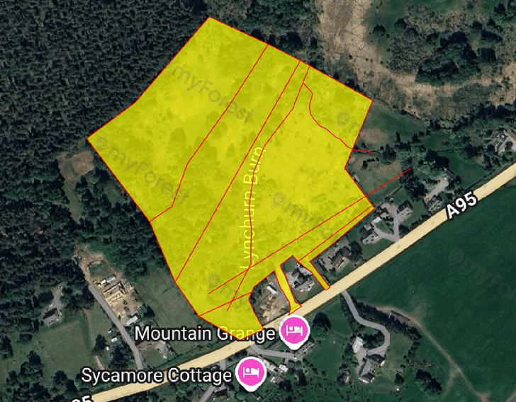 Property photo 3 of 11