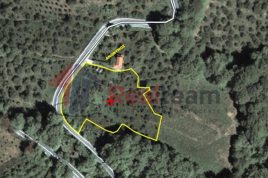 Property photo 3 of 24