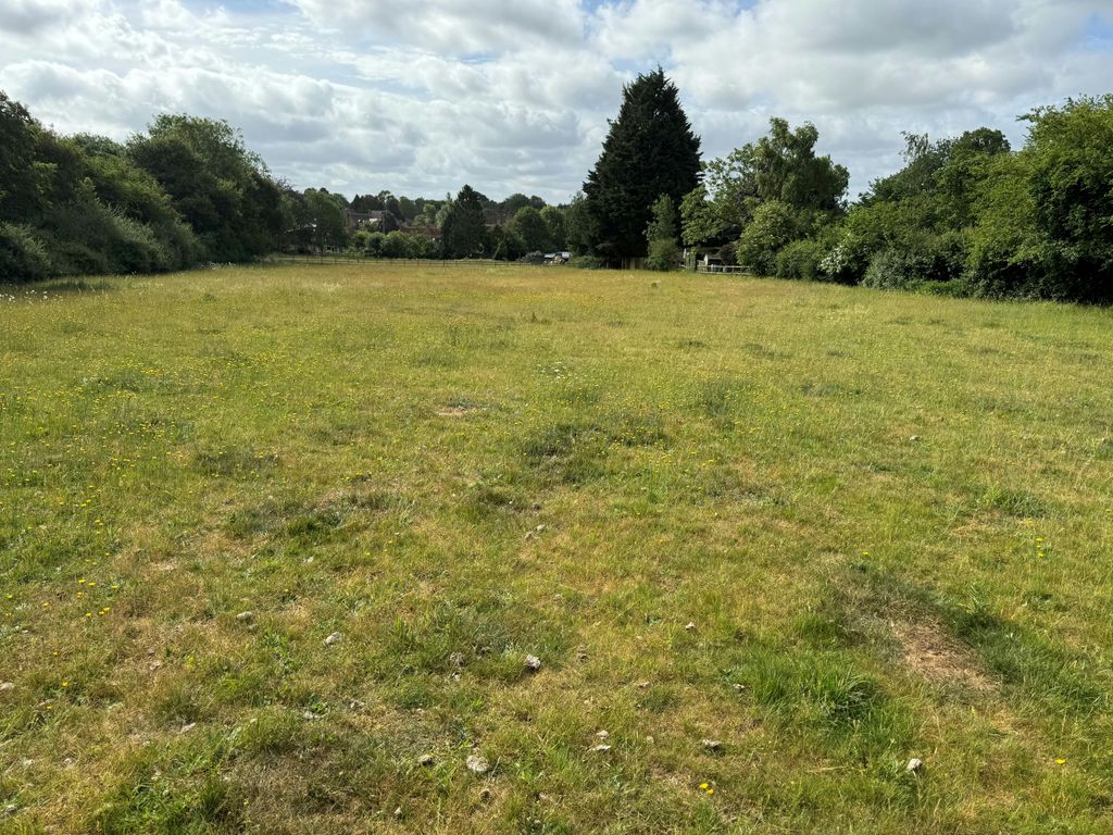 Property photo 3 of 4 View From Within Lot 2 Looking Southeast