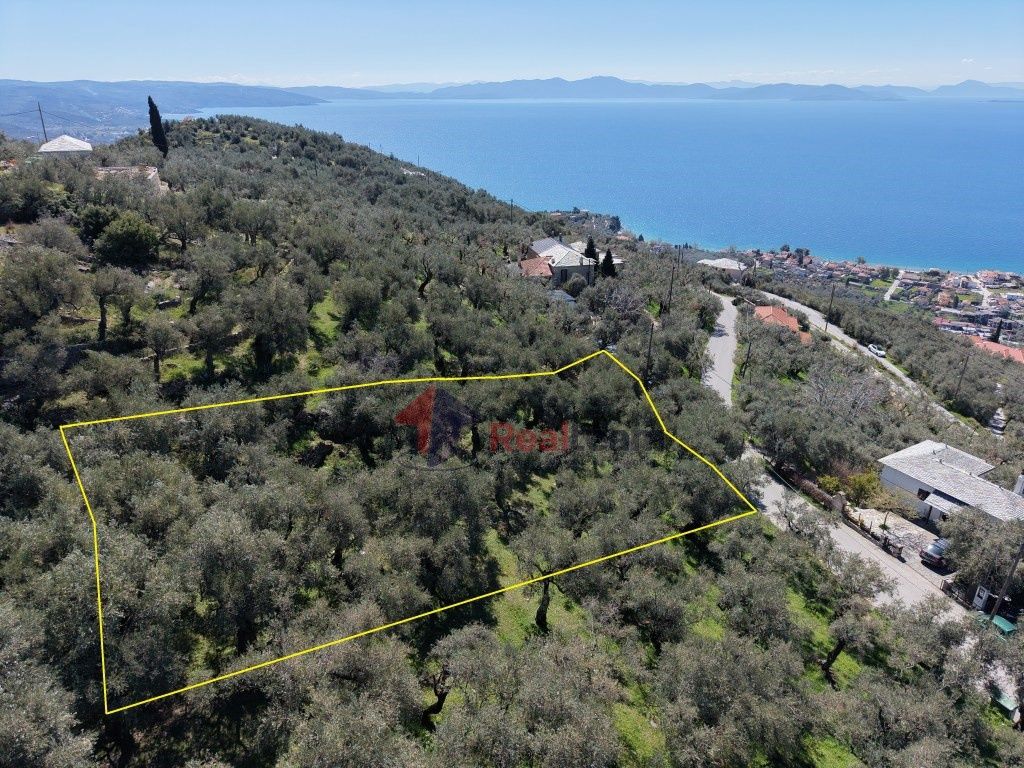 Property photo 1 of 26