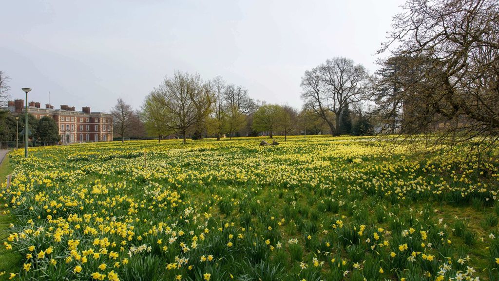 Property photo 2 of 19