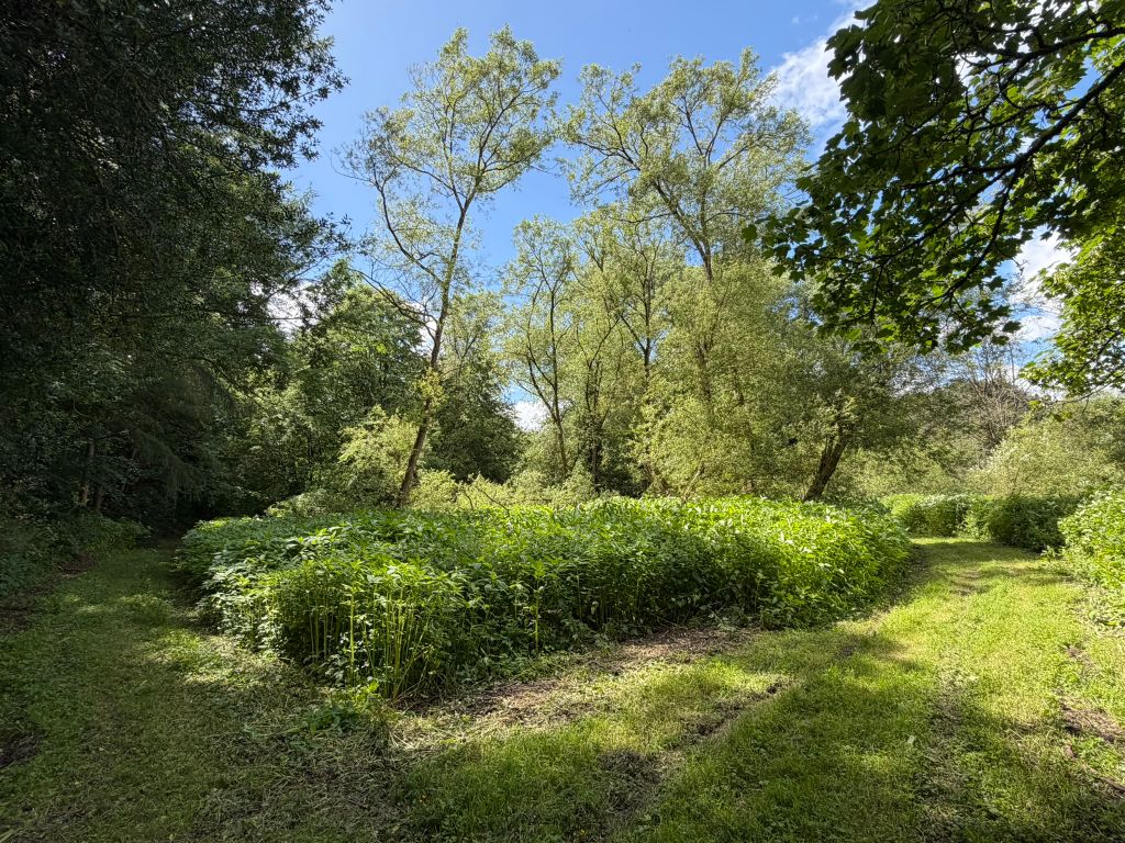 Additional image 10 of Farm for saleGreensforge Lane, Stourbridge DY7