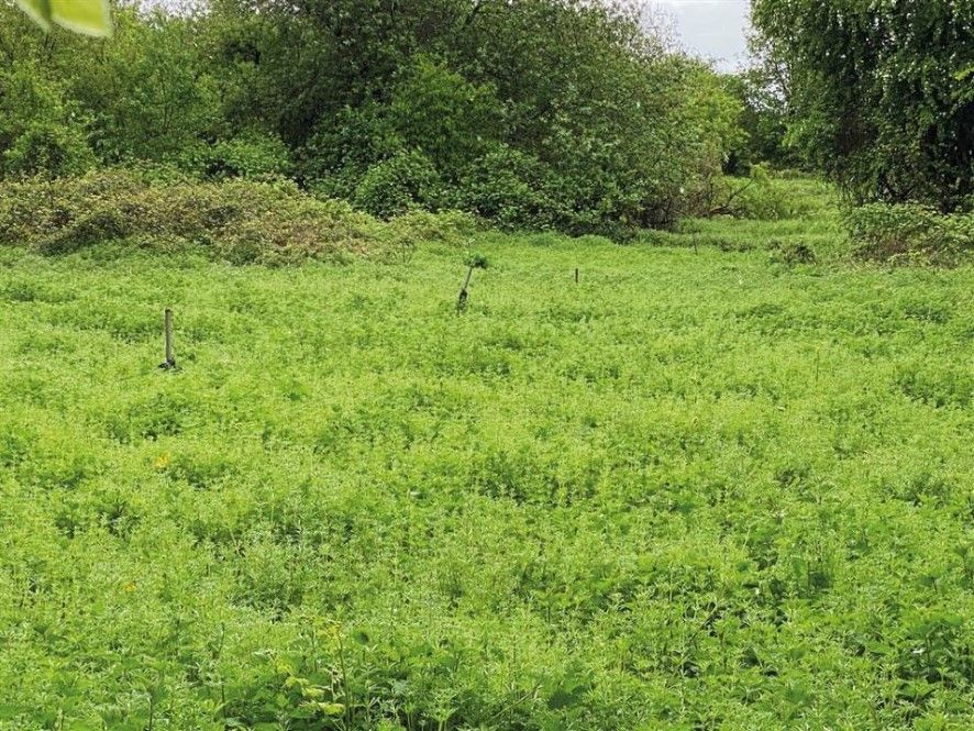 Property photo 3 of 4