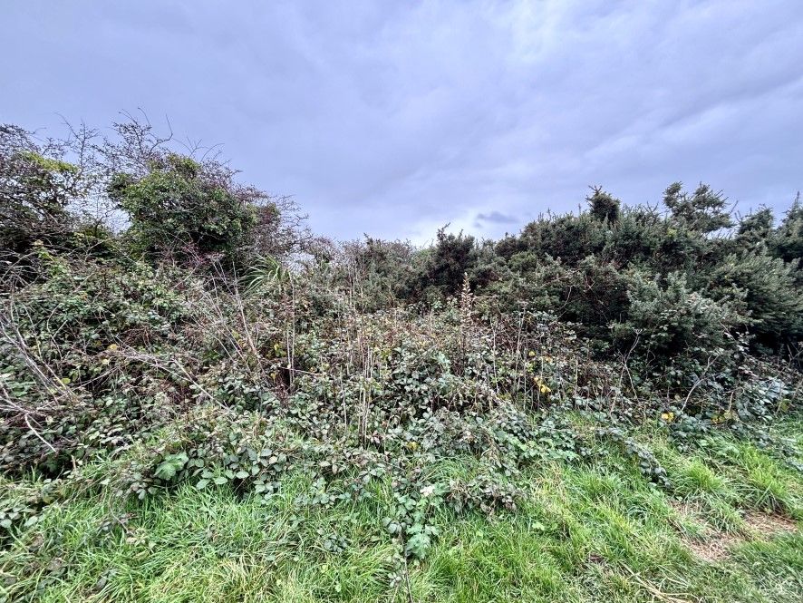 Property photo 2 of 2