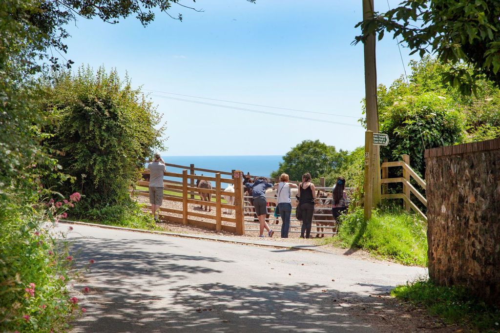 Property photo 3 of 18