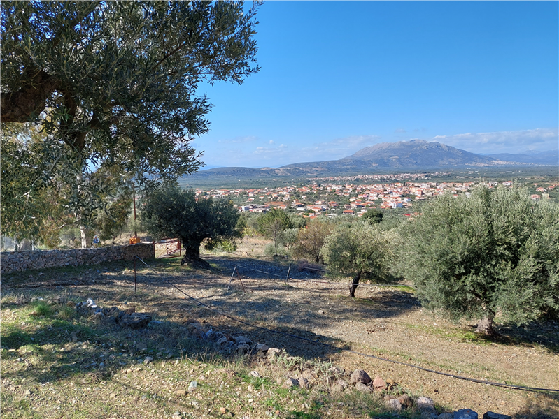 Property photo 3 of 4 The View Over The Villages Of Papadianika And Asopos.