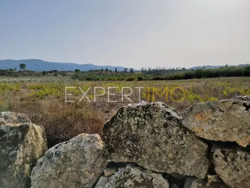 Property photo 2 of 9 Img 1