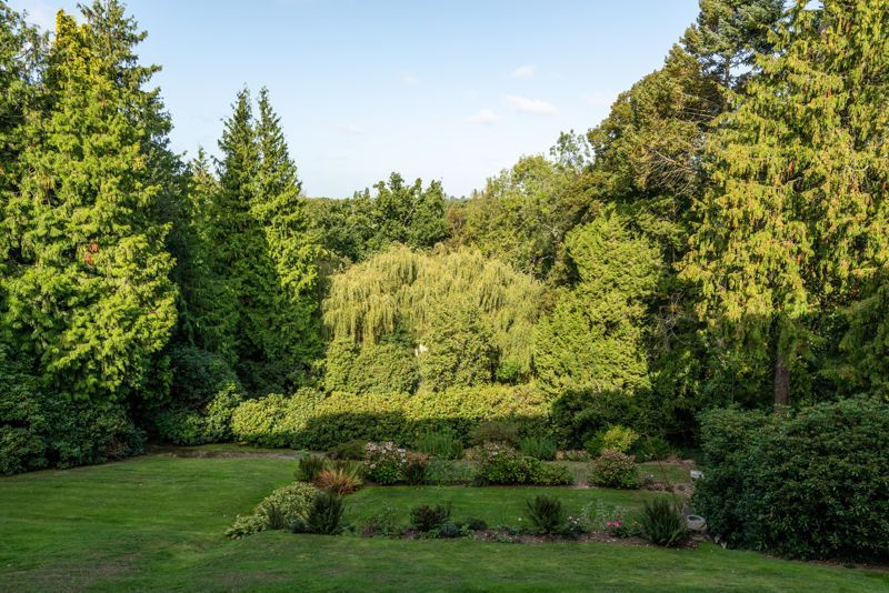 Property photo 3 of 11 Photo 11