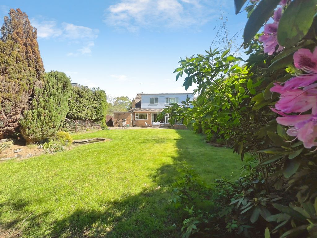 Property photo 2 of 31 Photo 51