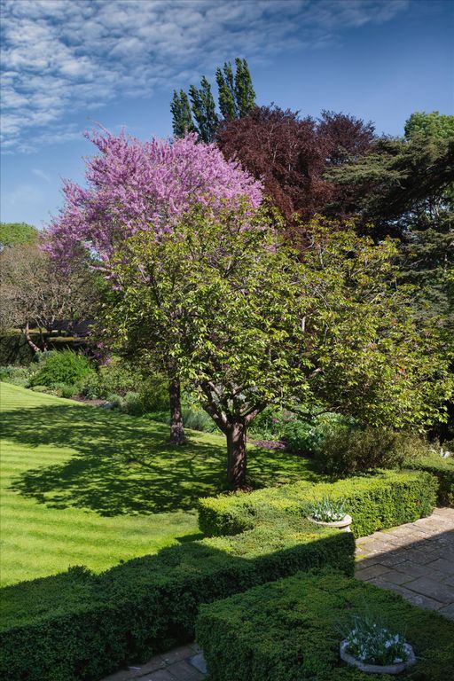 Additional image 20 of 10 bed detached house for saleHam Common, Richmond, Surrey TW10