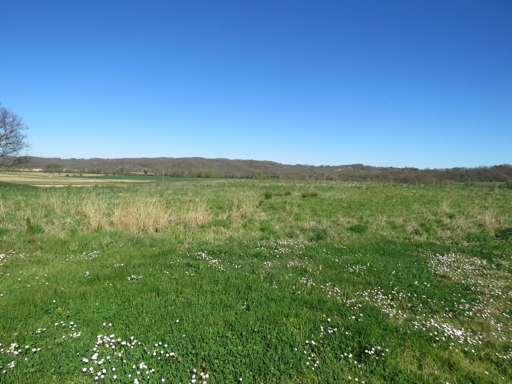 Property photo 3 of 41