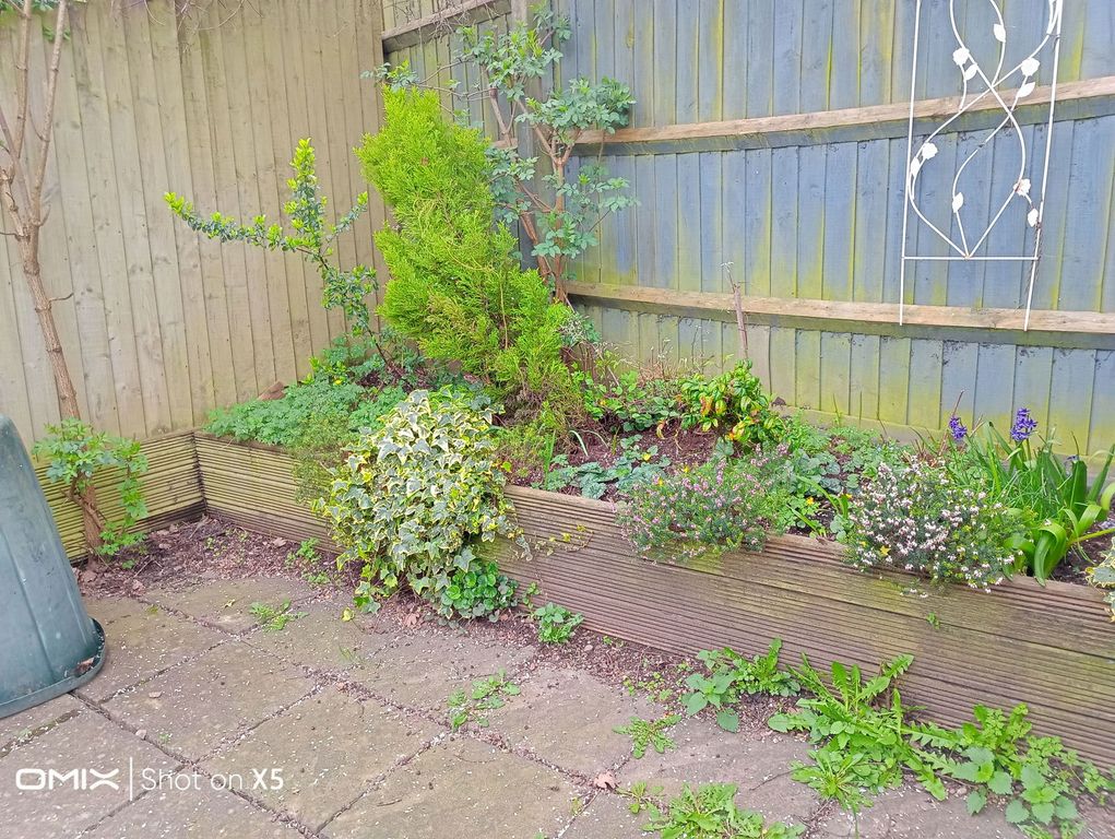 Additional image 17 of 2 bed terraced house to rentHallwood Drive, Ledbury, Ledbury, Herefordshire HR8