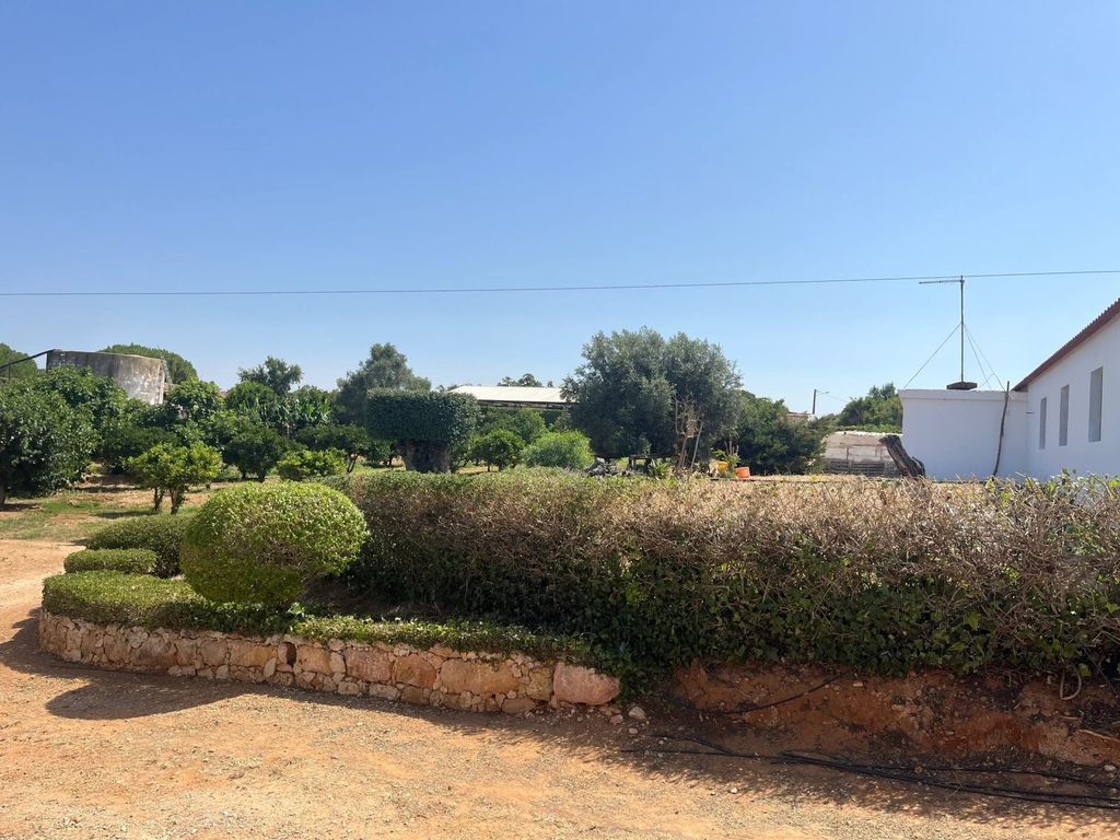 Property photo 1 of 22 Farm With 208,790 Square Meters, In Full Citrus Production, And Greenhouses, With High Yields. Great Potential For Projects With European Funding, And Rural Tourism.