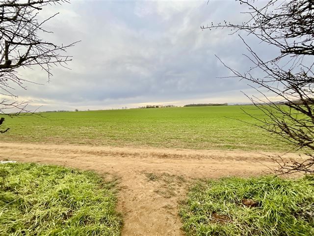 Property photo 2 of 21 Open Fields