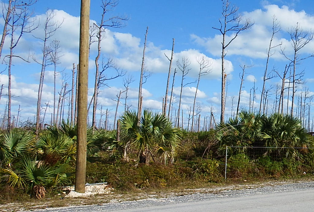 Property photo 3 of 6