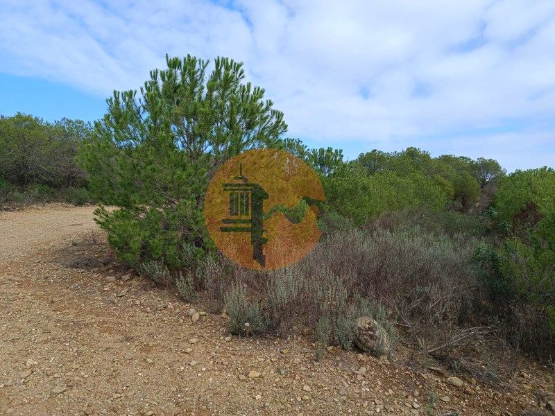 Property photo 1 of 33