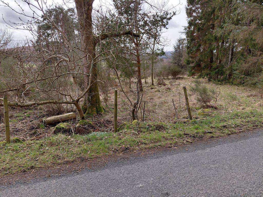 Property photo 3 of 6