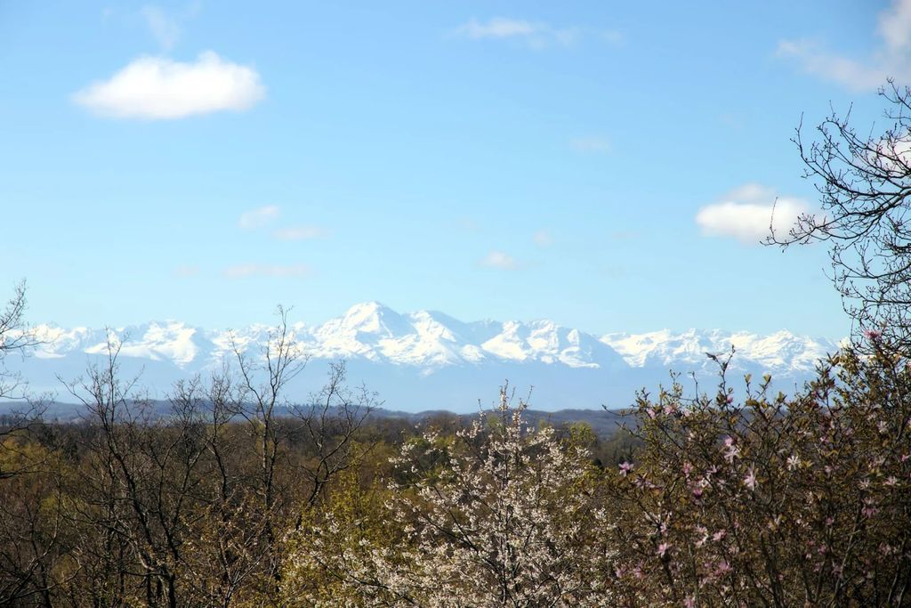 Property photo 3 of 34